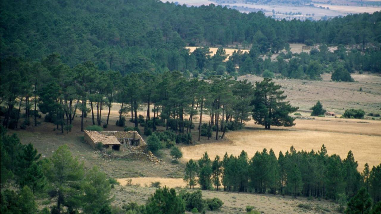 Penzion La Casa Grande Talayuelas  Exteriér fotografie